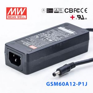 GSM60A12-P1J