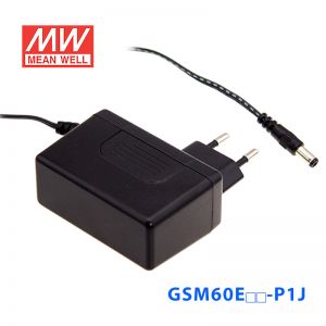 GSM60E48-P1J