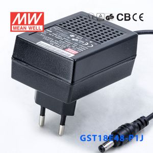 GST18E48-P1J