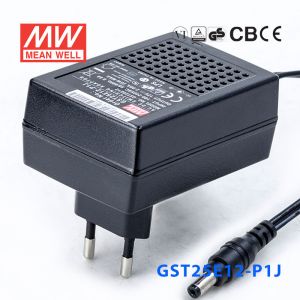 GST25E12-P1J