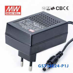 GST36E24-P1J