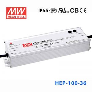 HEP-100-36