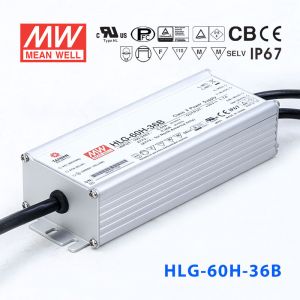 HLG-60H-36B