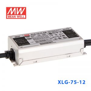 XLG-75-24-A
